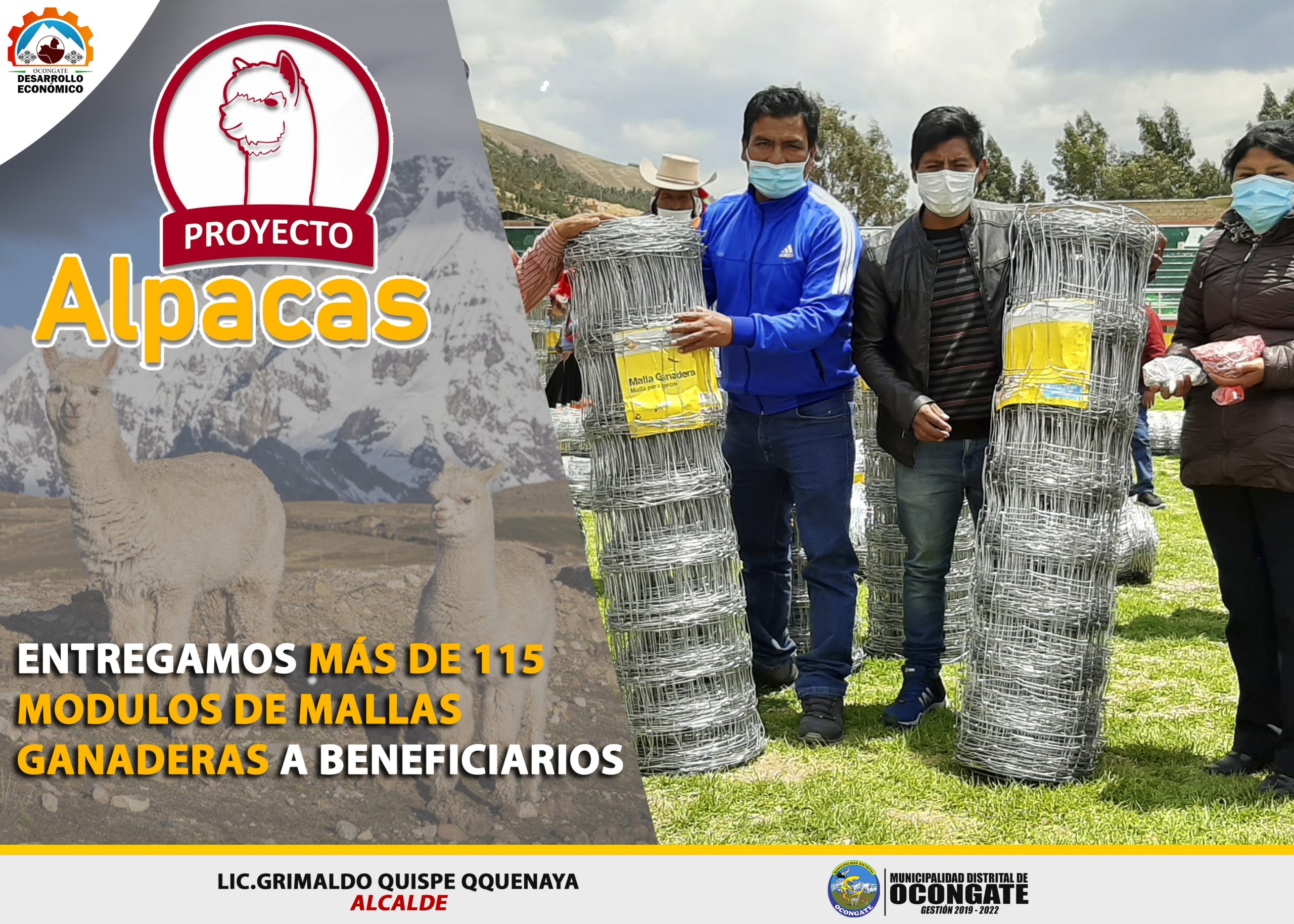 Lee más sobre el artículo ALCALDE DE OCONGATE ENTREGÓ MALLAS GANADERAS A BENEFICIARIOS DEL PROYECTO ALPACAS.