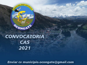 Lee más sobre el artículo CONVOCATORIA CAS 01-2021 MDO