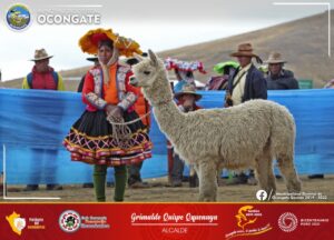 Lee más sobre el artículo NOTA DE PRENSA N° 0036-2021-RR.PP-CAKB/MDO. FERIA ITINERANTE SE LLEVO A CABO POR EL 48 ANIVERSARIO DE LA COMUNIDAD DE PALCCA.